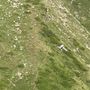 Precipita un ultraleggero nei pressi del rifugio Frassati: tre svizzeri feriti e trasportati al Parini Precipita un ultraleggero nei pressi del rifugio Frassati: tre svizzeri feriti e trasportati al Parini
