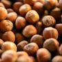 Fiera della Nocciola di Cortemilia Fiera della Nocciola di Cortemilia