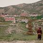 The lama's son - Fluida Comunicazione