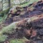 Incendio boschivo tra Challand-Saint-Victor e Challand-Saint-Anselme: spento il rogo, resta alta l'allerta in Valle d'Aosta