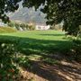 In prato che il sindaco vuole cemetificare
