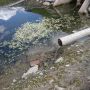 Lago Lod Lago Lod