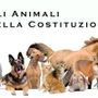 Abbandonare un animale non è solo un gesto crudele: è un costo che ricade su tutta la comunità Abbandonare un animale non è solo un gesto crudele: è un costo che ricade su tutta la comunità