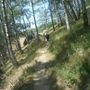 In marcia verso la prima vetta (Cima Piana) - ph Lodovico Marchisio