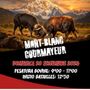 Courmayeur: 145 bovine in campo per la terza eliminatoria autunnale della "Batailles de Reines" Courmayeur: 145 bovine in campo per la terza eliminatoria autunnale della "Batailles de Reines"