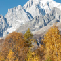 Il fascino dell'autunno in VDA tra vendemmie anticipate, Désarpie e il Tor des Géants Il fascino dell'autunno in VDA tra vendemmie anticipate, Désarpie e il Tor des Géants