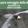 "Il cuore selvaggio delle Alpi", serata di fotografia naturalistica e divulgazione a Bard con Marco Colombo "Il cuore selvaggio delle Alpi", serata di fotografia naturalistica e divulgazione a Bard con Marco Colombo