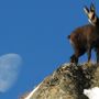 Aperte le iscrizioni per Giroparchi Nature Trail per l’estate 2026