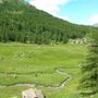 Maggiori risorse ai Consorzi di miglioramento fondiario per un'agricoltura di montagna moderna e resiliente
