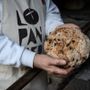 Dalla programmazione regionale ai piccoli negozi: le decisioni della Giunta per montagna, giovani e territorio Dalla programmazione regionale ai piccoli negozi: le decisioni della Giunta per montagna, giovani e territorio