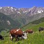 Il futuro della nostra agricoltura? Difendiamolo partendo dai semi