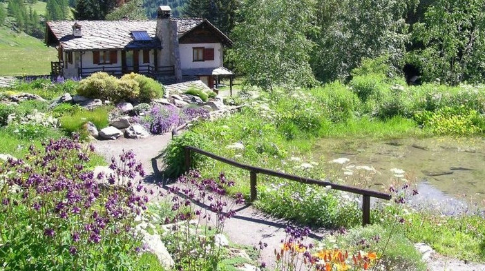 Riapre il Paradiso: l'Estate nel Gran Paradiso tra Natura e Tecnologia Riapre il Paradiso: l'Estate nel Gran Paradiso tra Natura e Tecnologia