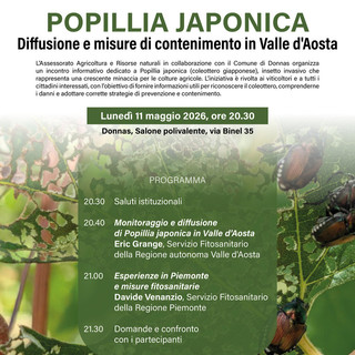 Allerta Popillia japonica: a Donnas un incontro per fermare l'insetto killer