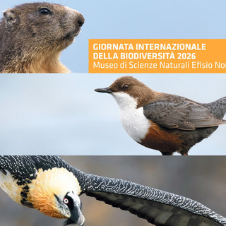 Valle d'Aosta: la biodiversità al centro degli eventi estivi