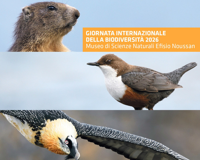 Valle d'Aosta: la biodiversità al centro degli eventi estivi Valle d'Aosta: la biodiversità al centro degli eventi estivi