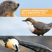 Valle d'Aosta: la biodiversità al centro degli eventi estivi