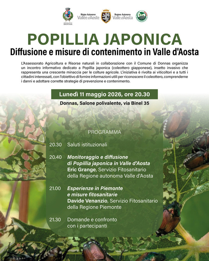 Allerta Popillia japonica: a Donnas un incontro per fermare l'insetto killer