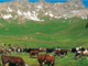 Custodi della Terra: la Valle d’Aosta racconta con uno scatto chi difende la montagna ogni giorno Custodi della Terra: la Valle d’Aosta racconta con uno scatto chi difende la montagna ogni giorno