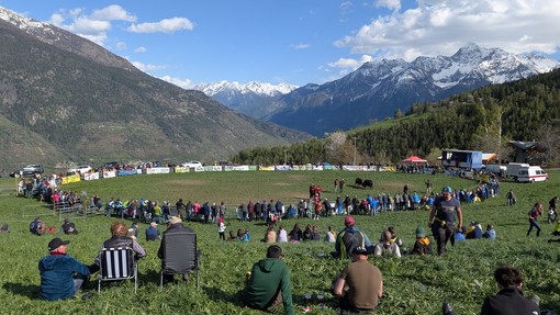 Batailles de Reines: Trionfo di corna e passione nella Coumba Freida