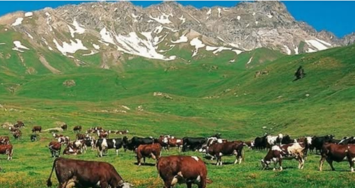 Custodi della Terra: la Valle d’Aosta racconta con uno scatto chi difende la montagna ogni giorno Custodi della Terra: la Valle d’Aosta racconta con uno scatto chi difende la montagna ogni giorno