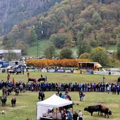 Le regine di Antey pronte alla sfida finale