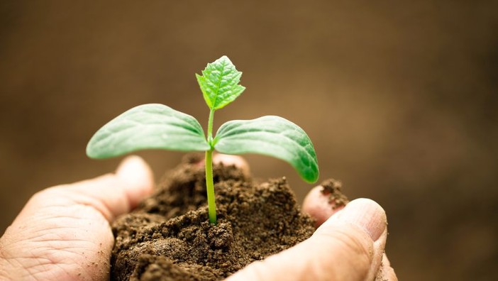 Contributi a fondo perso per la competitività delle aziende agricole ordinarie Contributi a fondo perso per la competitività delle aziende agricole ordinarie