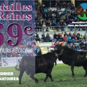 Ayas ospita per la prima volta una Bataille de Reines Ayas ospita per la prima volta una Bataille de Reines