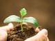 È online il nuovo corso di formazione “La gestione ecosostenibile delle produzione agrarie” per gli addetti delle aziende agricole e agroalimentari
