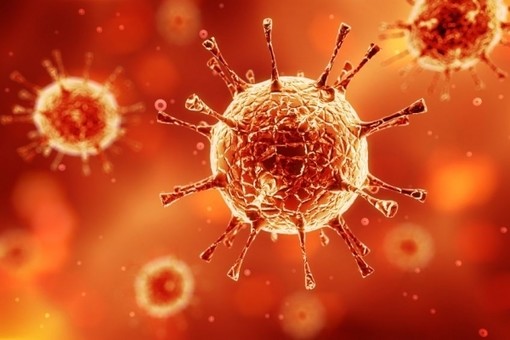 In Valle da inizio epidemia morte 28 persone con o per coronavirus
