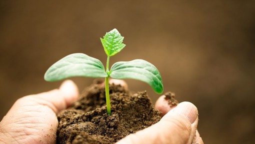 Contributi a fondo perso per la competitività delle aziende agricole ordinarie