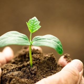 È online il nuovo corso di formazione “La gestione ecosostenibile delle produzione agrarie” per gli addetti delle aziende agricole e agroalimentari