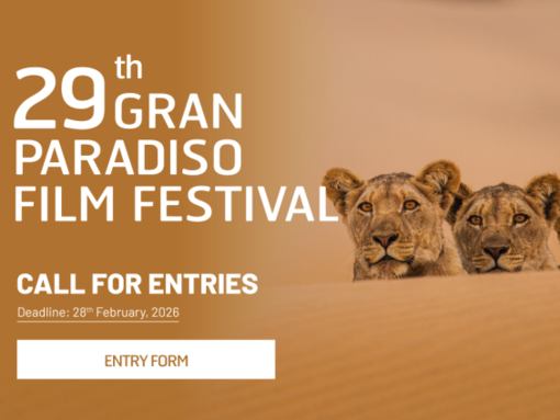 Call for entries 2026: aperte le candidature per il 29° Gran Paradiso Film Festival