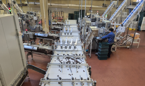 Dolcella Srl: Un’eccellenza dolciaria che cresce e assume con la collaborazione della Regione