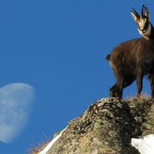 Aperte le iscrizioni per Giroparchi Nature Trail per l’estate 2026