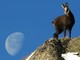 Aperte le iscrizioni per Giroparchi Nature Trail per l’estate 2026