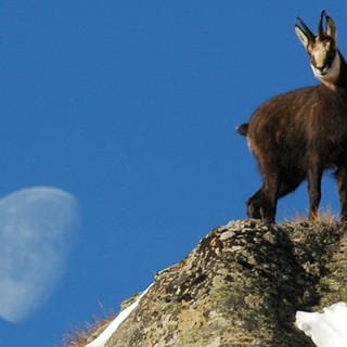 Aperte le iscrizioni per Giroparchi Nature Trail per l’estate 2026