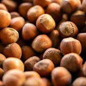 Fiera della Nocciola di Cortemilia Fiera della Nocciola di Cortemilia