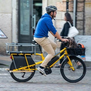 Andare al lavoro in bici allunga la vita: meno morti premature e malattie