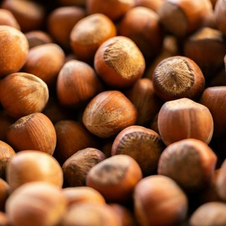 Fiera della Nocciola di Cortemilia