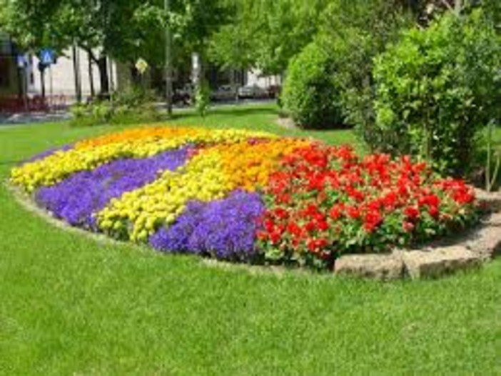 foto repertorio foto repertorio