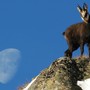 Aperte le iscrizioni per Giroparchi Nature Trail per l’estate 2026