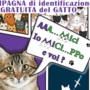 Un gatto senza nome è come un libro senza copertina