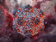 Monitoraggio costante della situazione internazionale relativa agli Hantavirus Monitoraggio costante della situazione internazionale relativa agli Hantavirus
