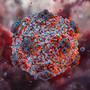 Monitoraggio costante della situazione internazionale relativa agli Hantavirus Monitoraggio costante della situazione internazionale relativa agli Hantavirus