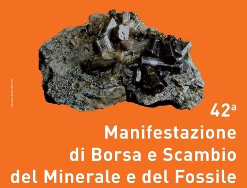 Minerali e fossili in mostra a Saint Vincent