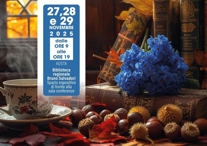 Mercatino del libro usato in Biblioteca, dal 27 al 29 novembre