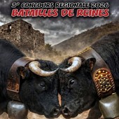 Jovençan incorona la passione: 100 regine pronte a sfidarsi nell’arena Jovençan incorona la passione: 100 regine pronte a sfidarsi nell’arena