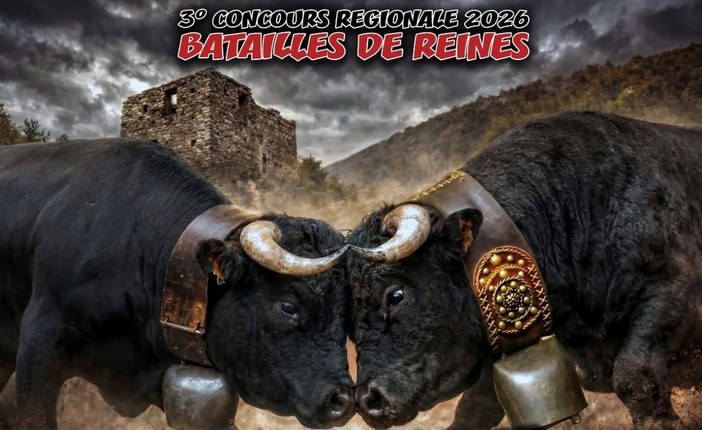 Jovençan incorona la passione: 100 regine pronte a sfidarsi nell’arena Jovençan incorona la passione: 100 regine pronte a sfidarsi nell’arena