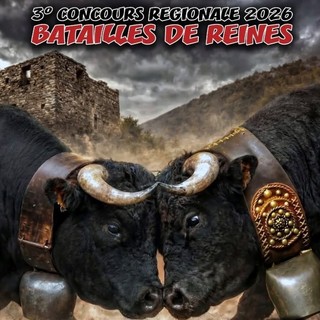 Jovençan incorona la passione: 100 regine pronte a sfidarsi nell’arena