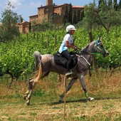 Martina Pisano nella long list in vista della FEI Endurance World Championship 2026 Martina Pisano nella long list in vista della FEI Endurance World Championship 2026